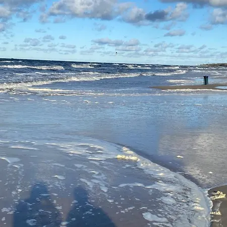 Emma 그르지보보