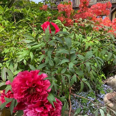 홀리데이파크 Emma *