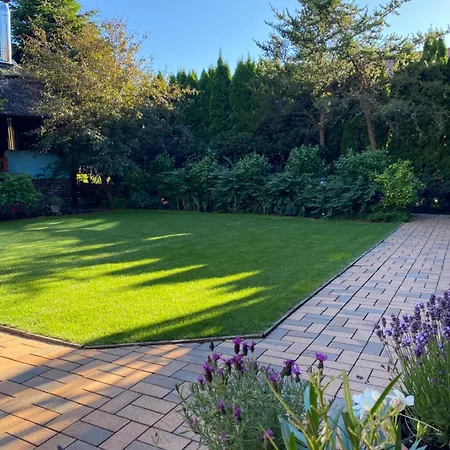 Emma 그르지보보