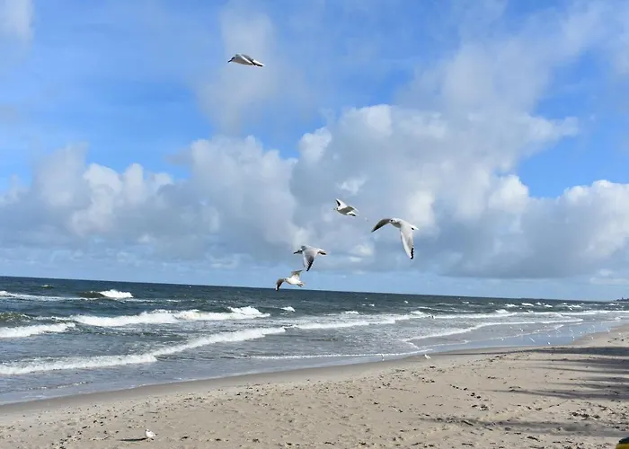Dom Gościnny Emma Grzybowo (West Pomeranian)