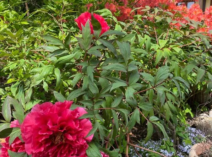 Prázdninový areál Emma *