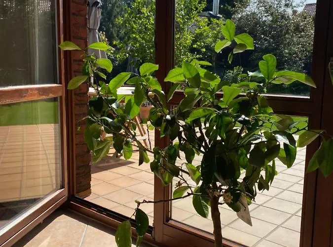 Emma Prázdninový areál